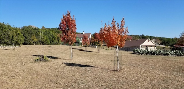 1617 High Lonesome, Leander, TX 78641 - view of yard