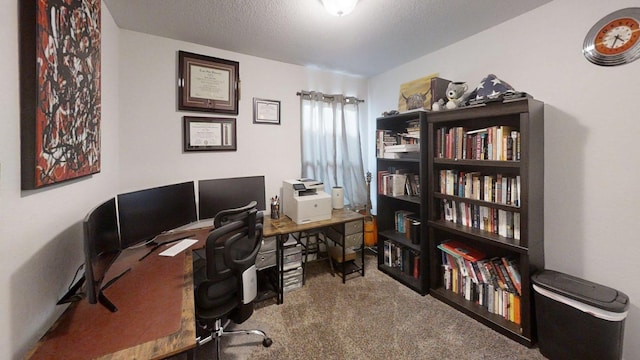 183 Beth Ann Loop, Taylor, TX 76574 - office area with carpet and a textured ceiling