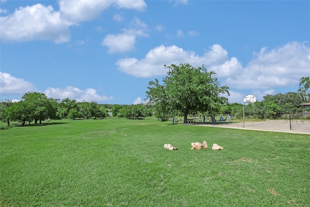 838 Pine Ln, Cottonwood Shores, TX 78657 - view of property's community featuring a lawn, community basketball court, and view of scattered trees