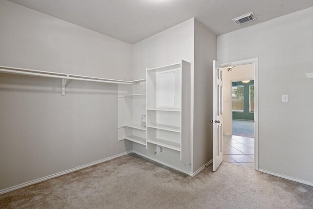 13617 Sun Dapple Ct, Manor, TX 78653 - walk in closet featuring carpet flooring