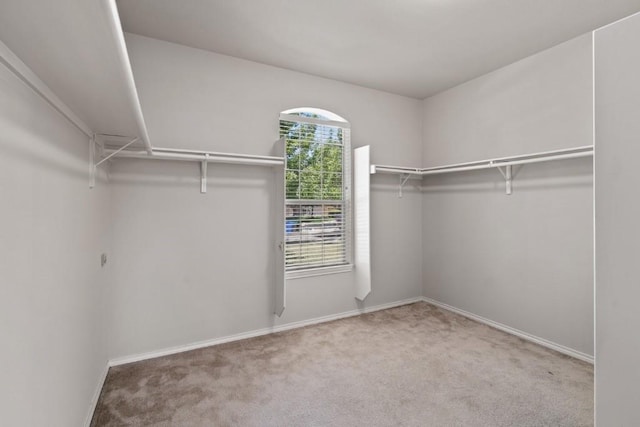 13617 Sun Dapple Ct, Manor, TX 78653 - walk in closet with carpet floors