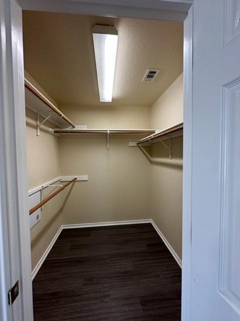 221 Roadrunner Ave, New Braunfels, TX 78130 - walk in closet featuring wood finished floors