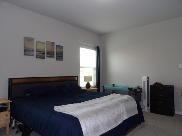 3097 Blantyre Bnd, Round Rock, TX 78664 - bedroom with light colored carpet