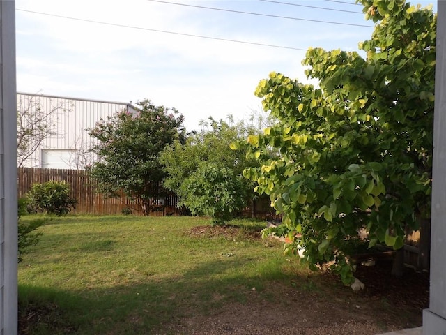 3097 Blantyre Bnd, Round Rock, TX 78664 - view of yard