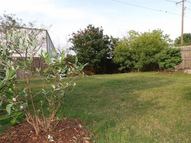 3097 Blantyre Bnd, Round Rock, TX 78664 - view of yard
