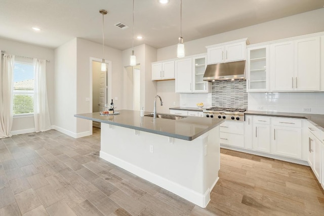 2613 Ibaza Bnd Unit 58, Leander, TX 78641 - kitchen featuring a sink, under cabinet range hood, stainless steel gas stovetop, tasteful backsplash, and recessed lighting