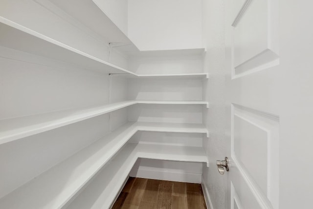 2613 Ibaza Bnd Unit 58, Leander, TX 78641 - view of pantry