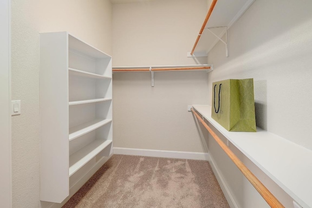 2613 Ibaza Bnd Unit 58, Leander, TX 78641 - spacious closet with carpet