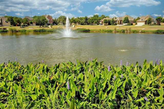 2613 Ibaza Bnd Unit 58, Leander, TX 78641 - water view