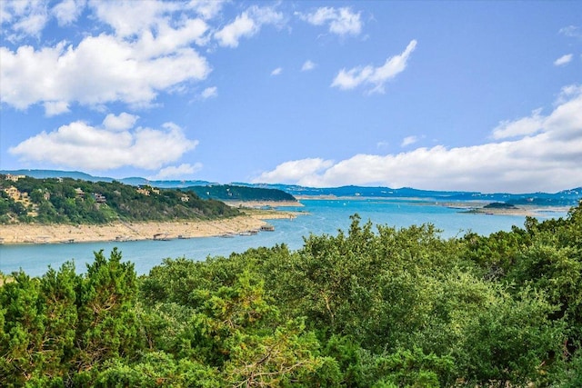 8207 Moon Rise Trl, Jonestown, TX 78645 - water view with a mountainous background