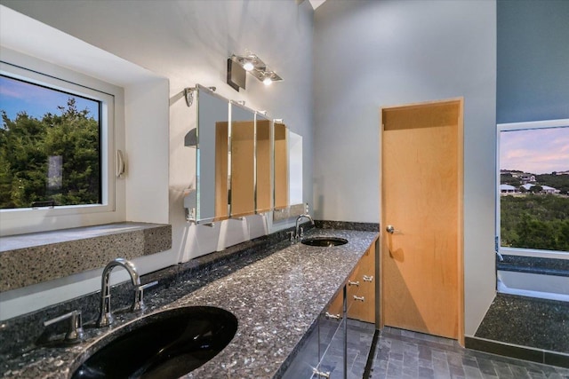 8207 Moon Rise Trl, Jonestown, TX 78645 - full bath with double vanity