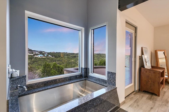 8207 Moon Rise Trl, Jonestown, TX 78645 - bathroom with wood finished floors and a garden tub