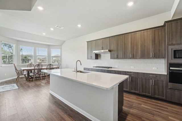 357 Cathedral Mountain Dr, Dripping Springs, TX 78620 - kitchen featuring a sink, stainless steel appliances, under cabinet range hood, light countertops, and tasteful backsplash