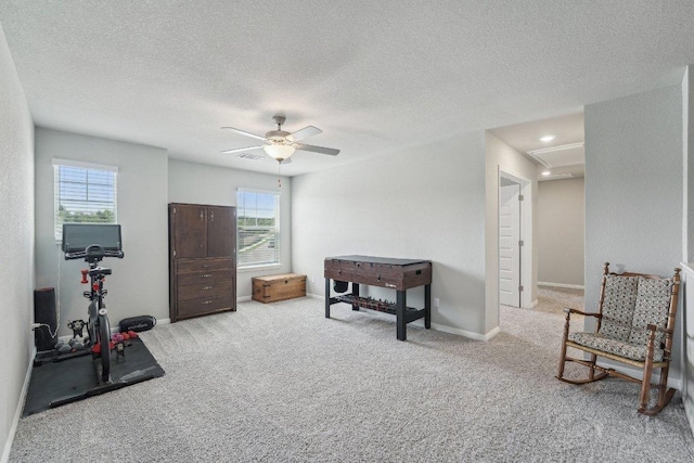 357 Cathedral Mountain Dr, Dripping Springs, TX 78620 - workout room featuring plenty of natural light, carpet, a ceiling fan, a textured ceiling, and baseboards