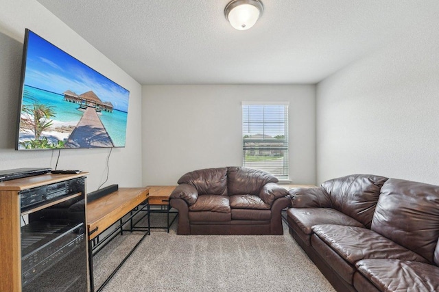 357 Cathedral Mountain Dr, Dripping Springs, TX 78620 - living area with carpet flooring and a textured ceiling