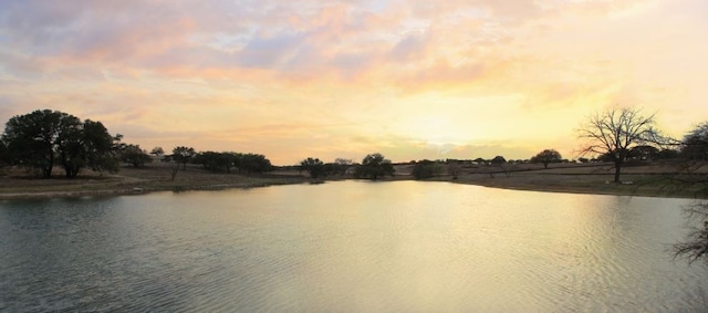 309 Yaklin Dr, Liberty Hill, TX 78642 - water view