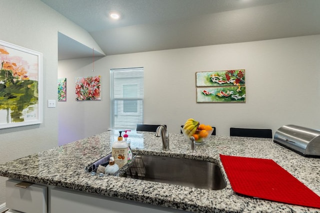 221 Tributary Way, Bastrop, TX 78602 - kitchen with light stone countertops, lofted ceiling, and recessed lighting