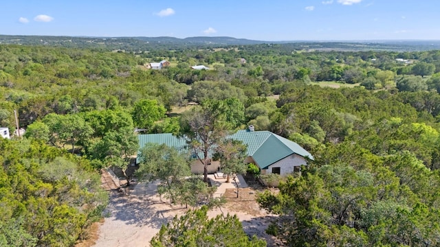 1221 County Road 250, Burnet, TX 78611 - photo 24