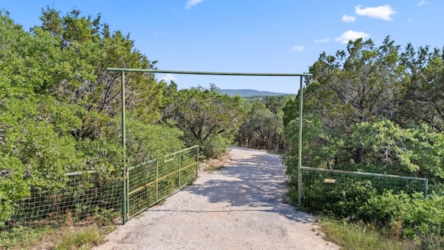 1221 County Road 250, Burnet, TX 78611 - photo 25