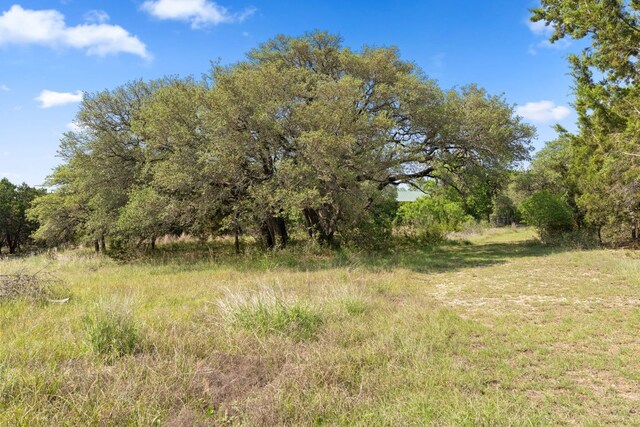 1221 County Road 250, Burnet, TX 78611 - photo 23