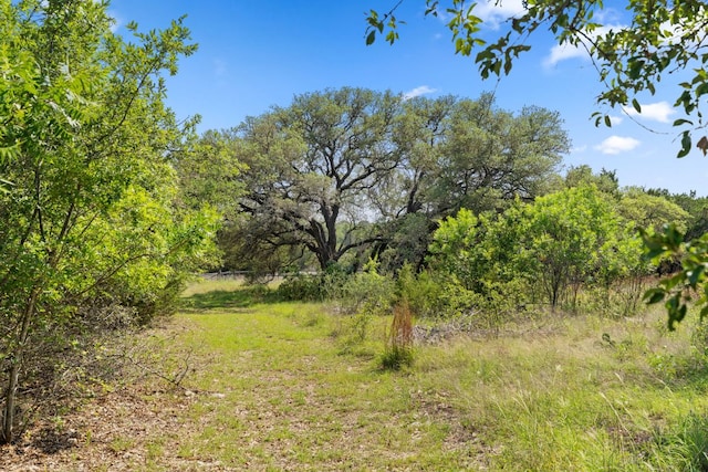 1221 County Road 250, Burnet, TX 78611 - photo 20