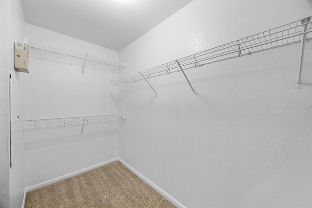 805 Meadow Bluff Ct, Round Rock, TX 78665 - spacious closet featuring carpet floors