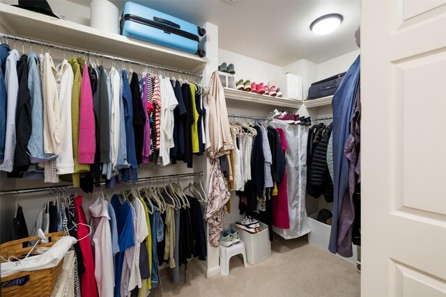 40 Tournament Way Unit G-32, The Hills, TX 78738 - walk in closet with carpet