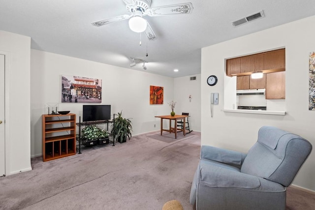 7920 Rockwood Ln Unit 232, Austin, TX 78757 - living room featuring ceiling fan and carpet
