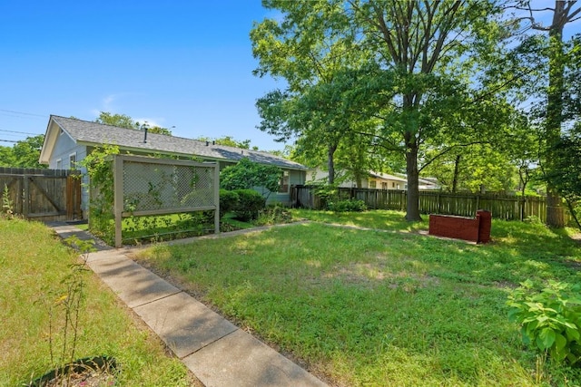 3103 Steck Ave, Austin, TX 78757 - view of yard