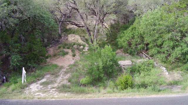 2717 Long Bow Trl, Austin, TX 78734 - photo 28