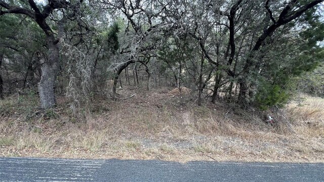 2717 Long Bow Trl, Austin, TX 78734 - photo 4