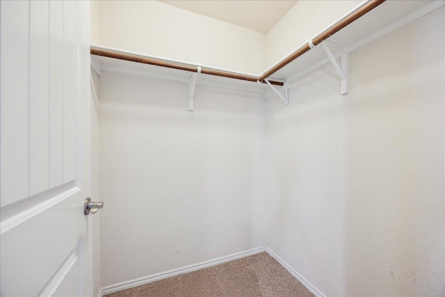 3620 Breckenridge Dr, Austin, TX 78744 - walk in closet with carpet floors