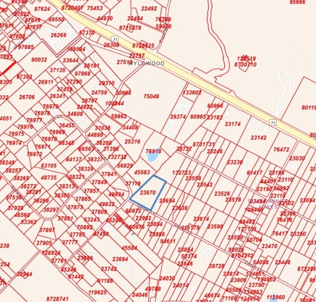 356 Cedar Ln, Cedar Creek, TX 78612 - map of parcels