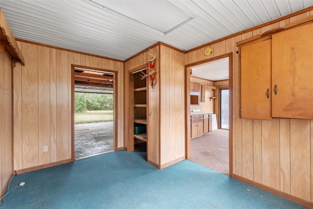 356 Cedar Ln, Cedar Creek, TX 78612 - unfurnished room with wooden walls, carpet flooring, and a smoke detector