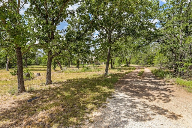 356 Cedar Ln, Cedar Creek, TX 78612 - view of dirt / gravel road