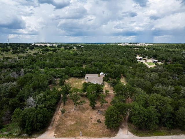 356 Cedar Ln, Cedar Creek, TX 78612 - drone / aerial view of a forest