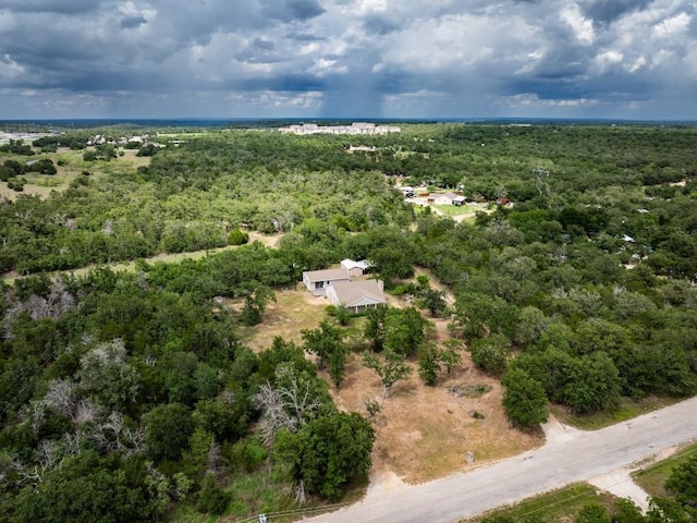 356 Cedar Ln, Cedar Creek, TX 78612 - view of property location featuring a heavily wooded area