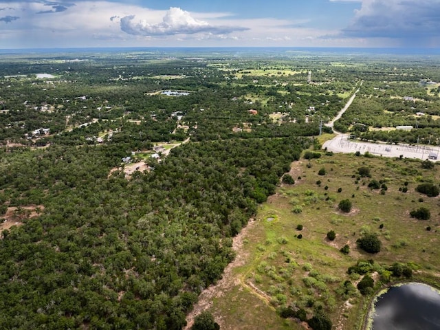 356 Cedar Ln, Cedar Creek, TX 78612 - bird's eye view of a nearby body of water