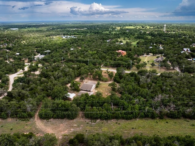 356 Cedar Ln, Cedar Creek, TX 78612 - aerial view of a forest