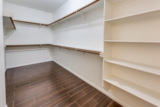 480 Middle Crk, Buda, TX 78610 - walk in closet featuring dark wood-style flooring