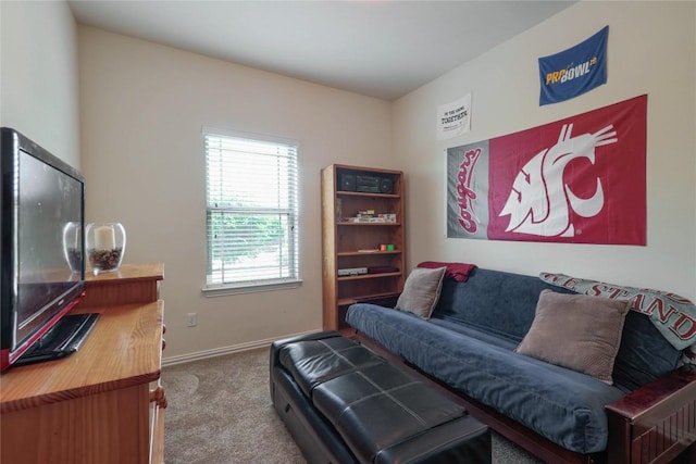 1317 Gaviota Ln, Leander, TX 78641 - living area featuring carpet flooring and baseboards