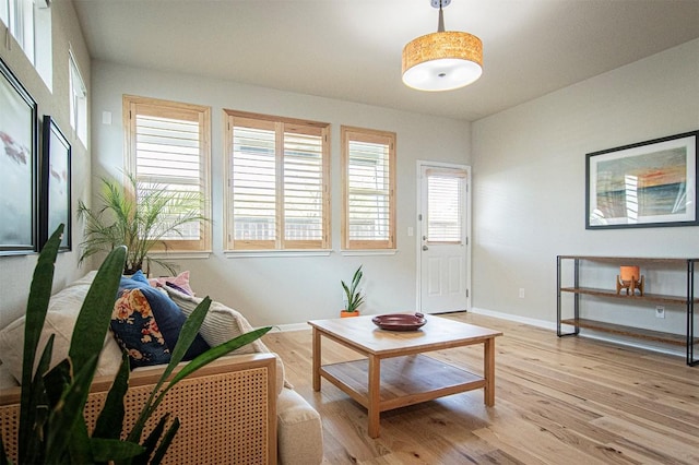 205 Michaelis Dr, Leander, TX 78641 - living room featuring light wood-style floors and baseboards