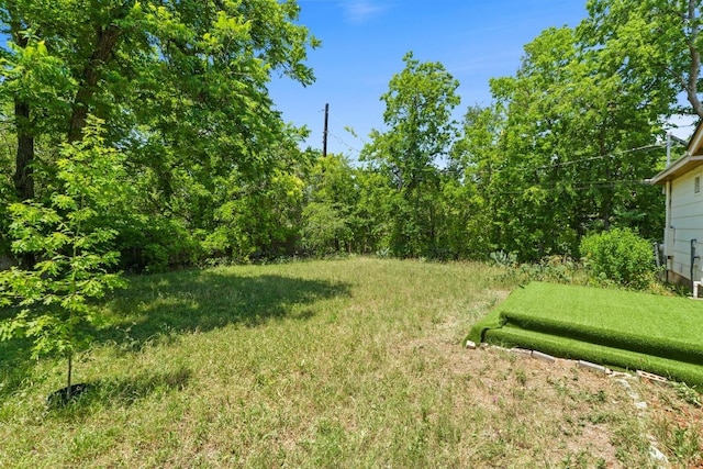 3105 Steck Ave, Austin, TX 78757 - view of yard