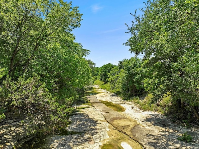 3105 Steck Ave, Austin, TX 78757 - view of street with a forest view