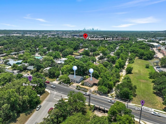 3105 Steck Ave, Austin, TX 78757 - bird's eye view of a tree filled landscape