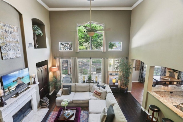 20737 Kearney Hill Rd, Pflugerville, TX 78660 - living area featuring a high end fireplace, dark wood-style flooring, arched walkways, crown molding, and a towering ceiling