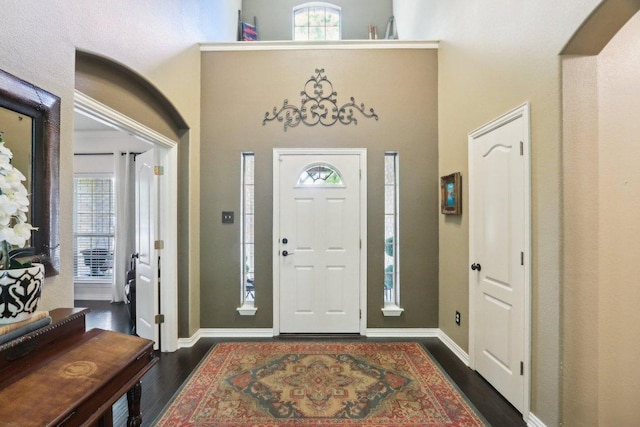 20737 Kearney Hill Rd, Pflugerville, TX 78660 - entryway featuring dark wood-type flooring and a towering ceiling