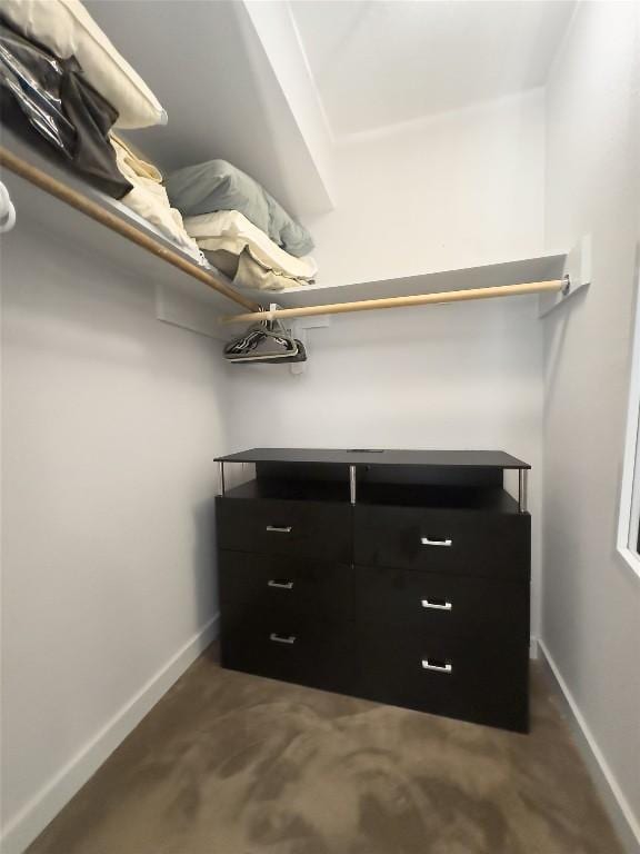 1514 Turtle Creek Blvd, Austin, TX 78745 - view of walk in closet