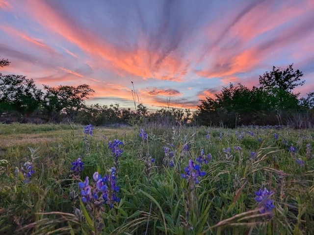 4006 Spanish Oak Ln, Dripping Springs, TX 78620 - view of yard