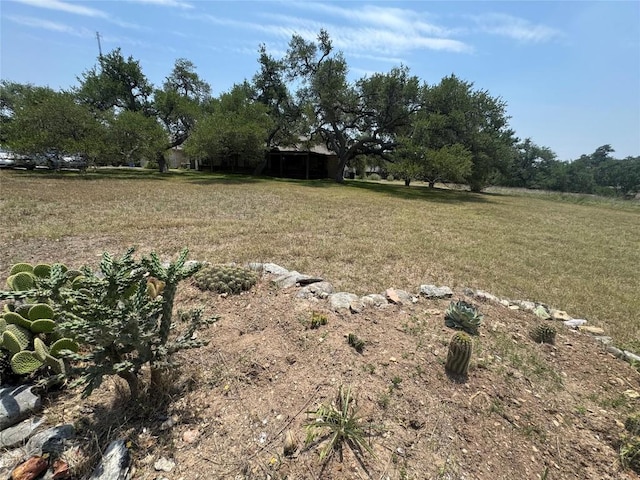 4006 Spanish Oak Ln, Dripping Springs, TX 78620 - view of yard